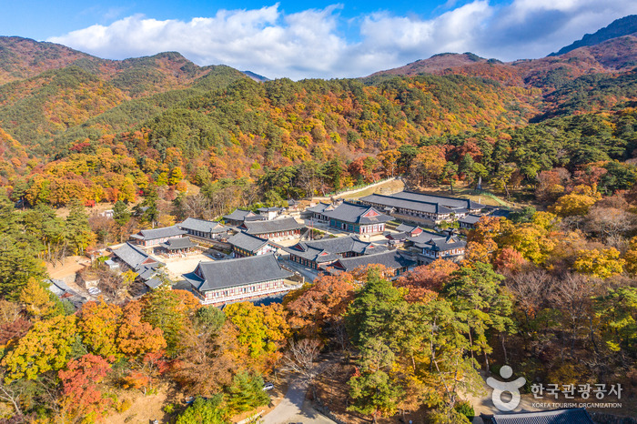 가족 여행용 유네스코 명소 추천 (제주, 수원화성, 해인사)