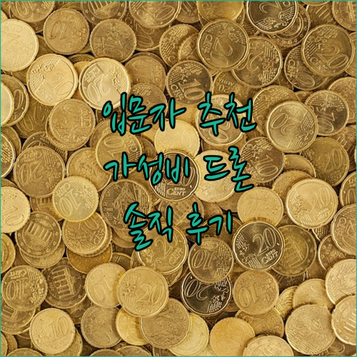 입문용으로 강추 LYZRC L900 