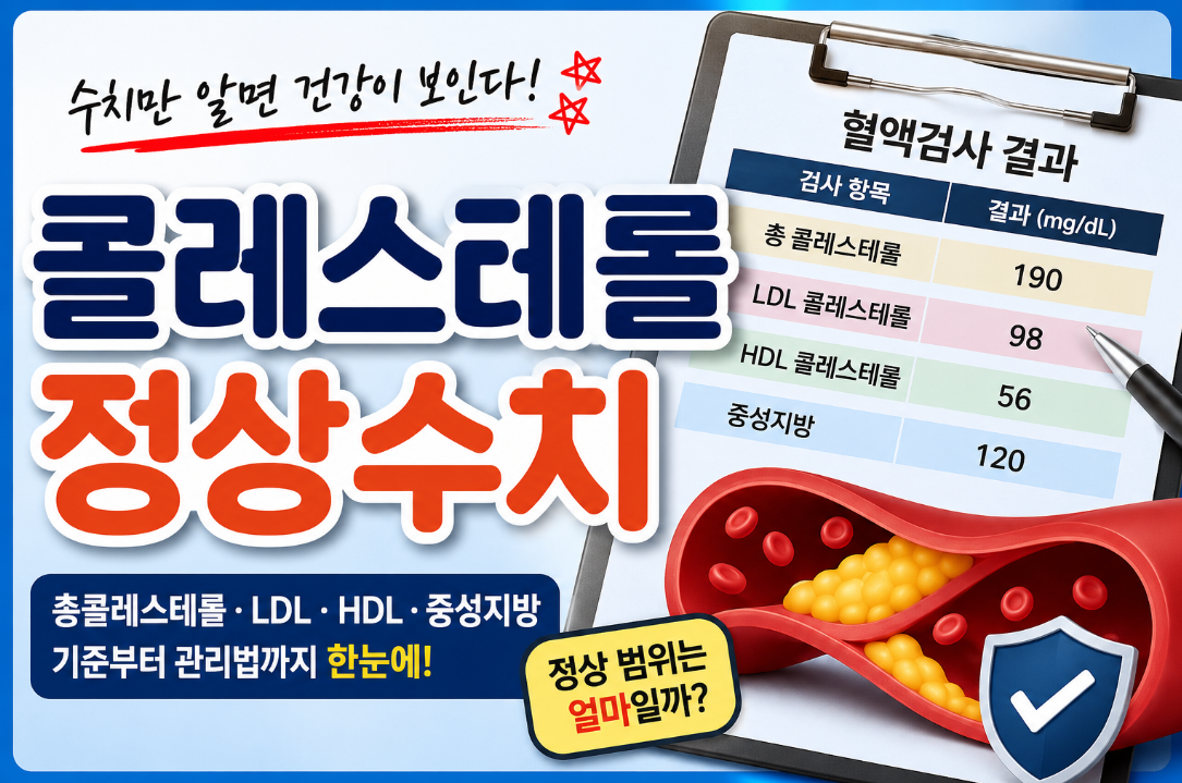 콜레스테롤 정상수치 총정리｜LDL&middot;HDL&middot;중성지방 기준