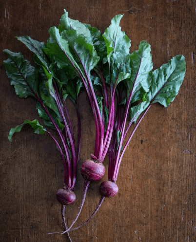 콜라비 손질 보관법