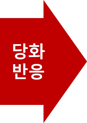 안티에이징생활