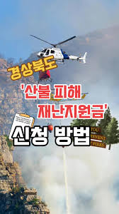 산불재난지원금 신청하기