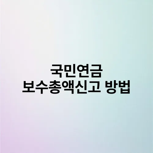 국민연금 보수총액신고 방법