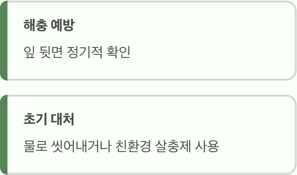 5. 건강한 성장을 위한 예방과 관리