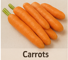 전립선에 좋은 음식