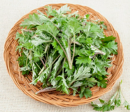 3월에 먹으면 좋은 제철 음식(봄철 음식) - 쑥 편 (효능, 쑥이 들어가는 음식)