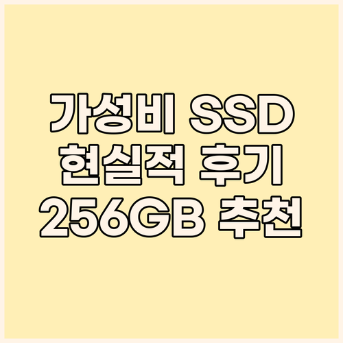 가성비 SSD 추천 한창코퍼레이션 C..