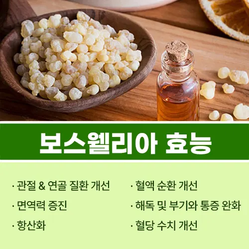 보스웰리아 효능