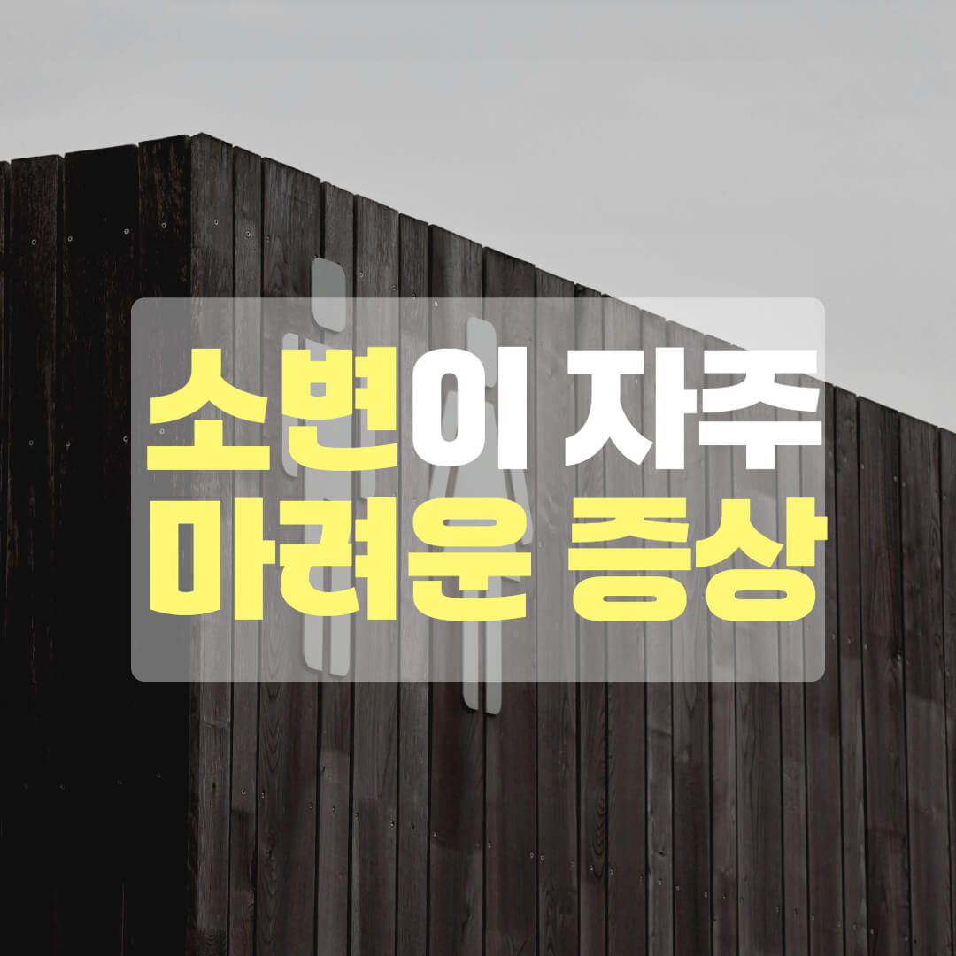 소변이 자주 마려운 증상