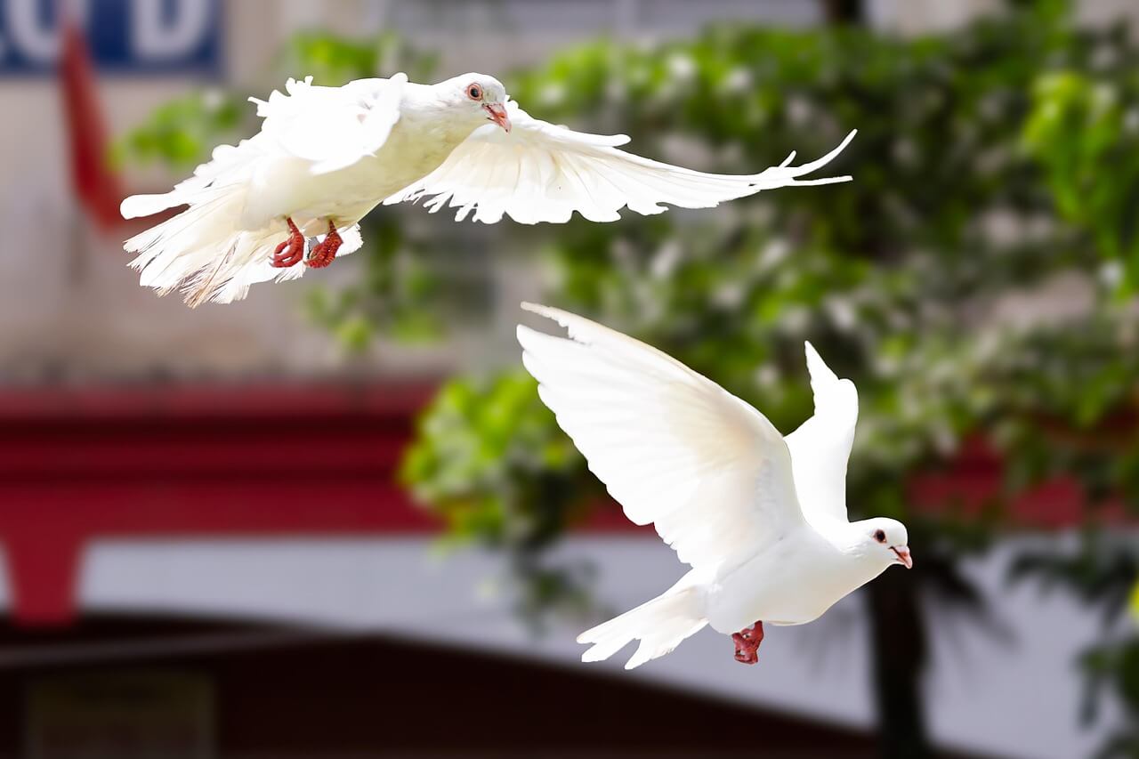 날아다니는꿈해몽 30가지 – 하늘을 나는 당신에게 찾아온 메시지