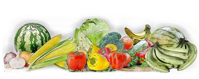 도시농업과 유기농: 소규모 정원에서 실천하는 지속 가능한 농업