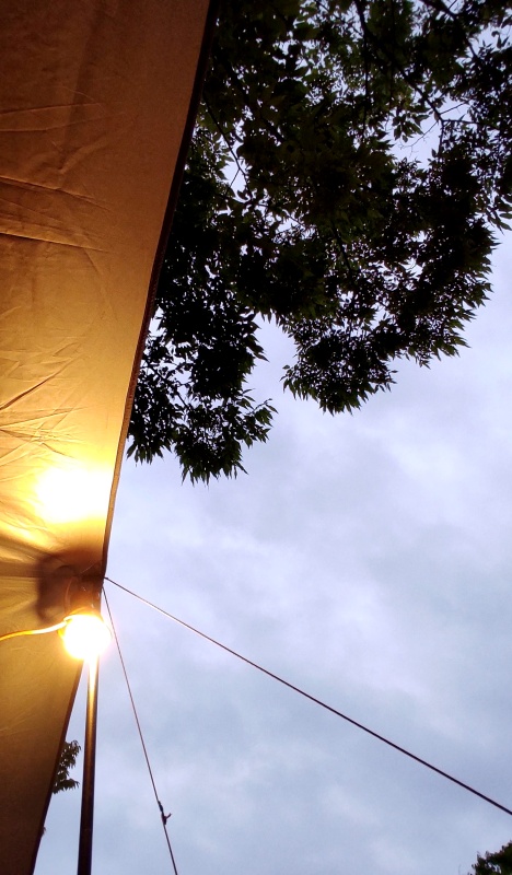 어두워져가는 밤하늘