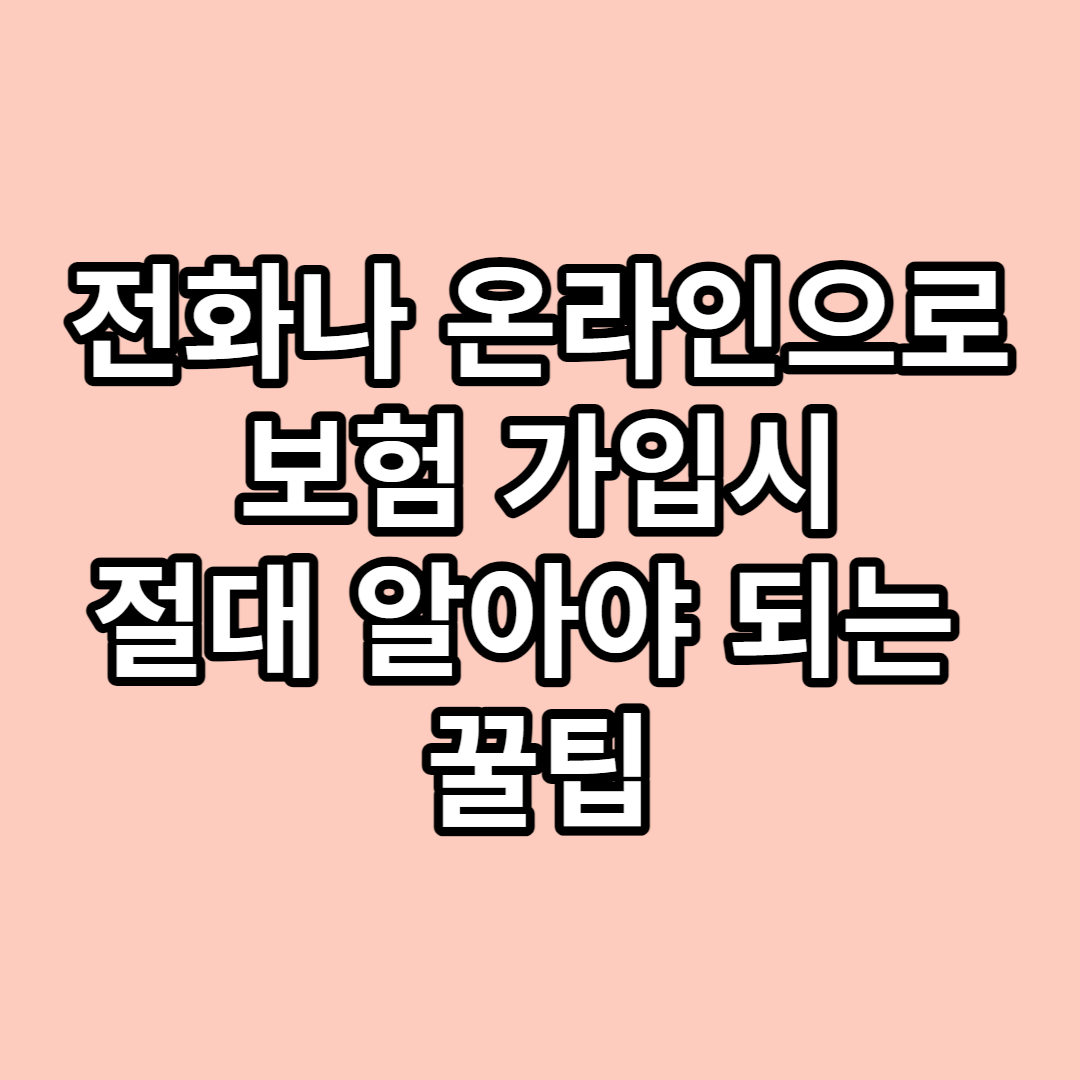 다이렉트 정기 보험