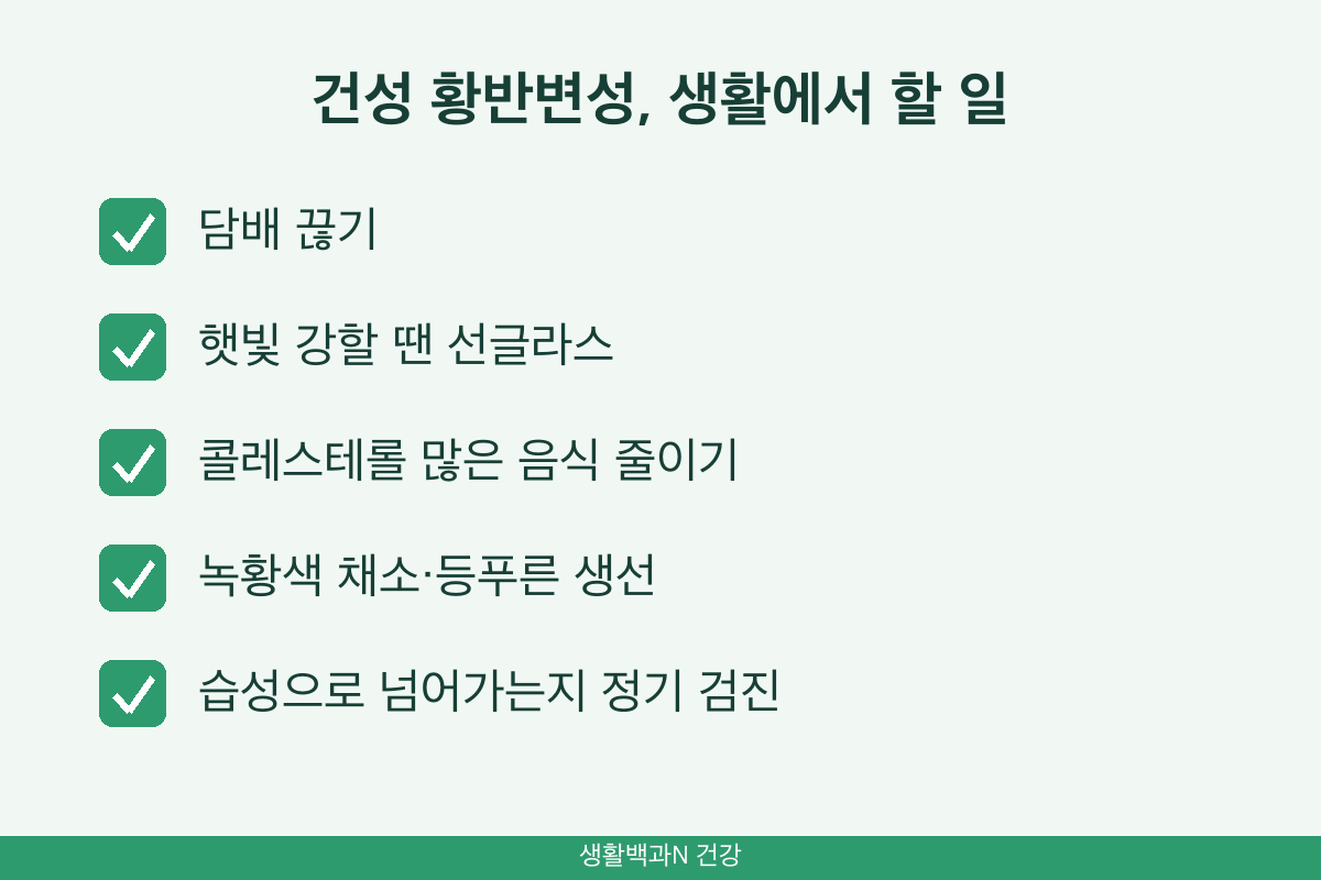 건성 황반변성 관리 금연 선글라스 식사 조절 정기 검진