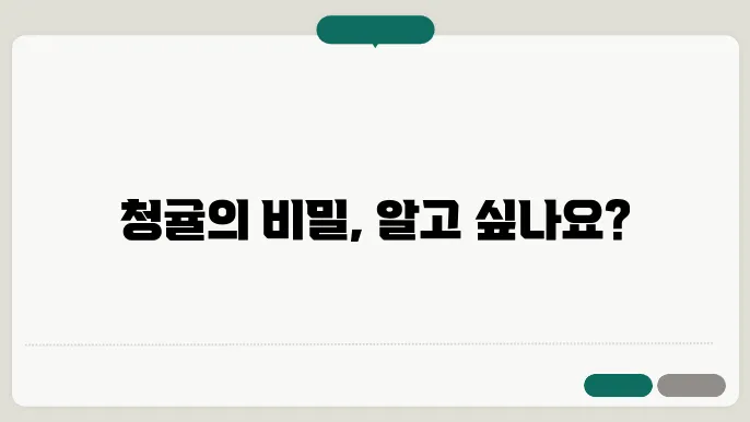 청귤 영어로