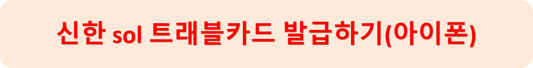 신한솔트래블아이폰