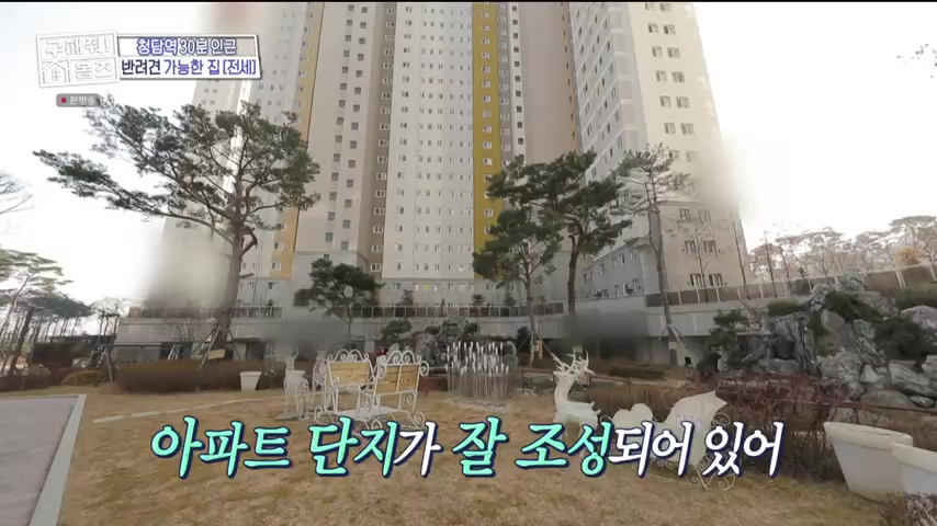 구해줘홈즈 1층집 바이브 동물병원 인접 남양주 다산동 전세 매매 매물 가격 및 구조 인테리어 리모델링 최종선택 강재준 양세찬 소개