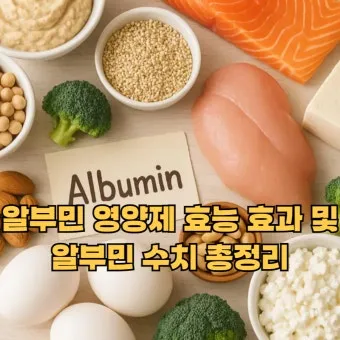 알부민의 효능_24