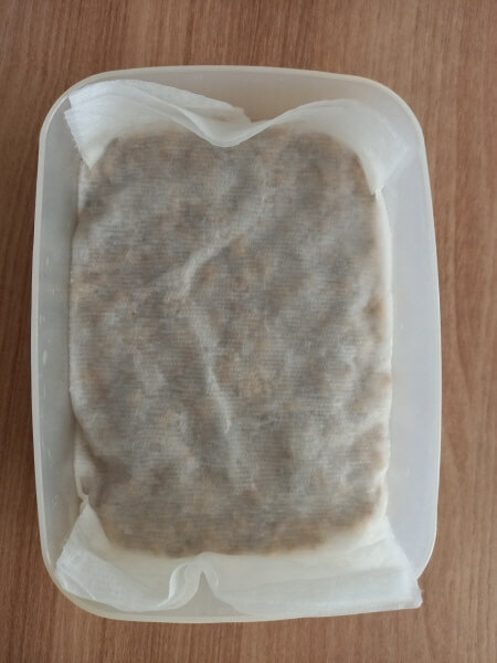 반찬그릇에 담긴 새싹보리 씨앗