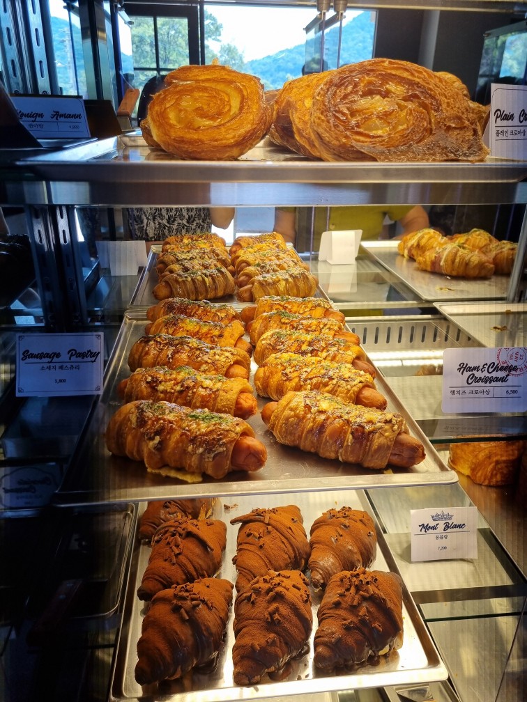 경기도 시흥 산골수목원: 연분홍 수국이 있는 식물원 카페