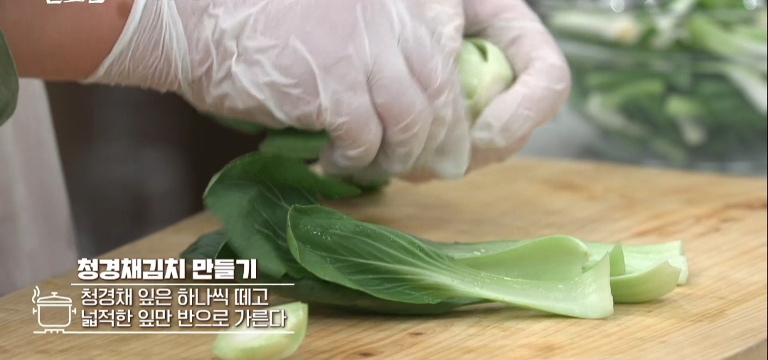 강순의청경채김치
