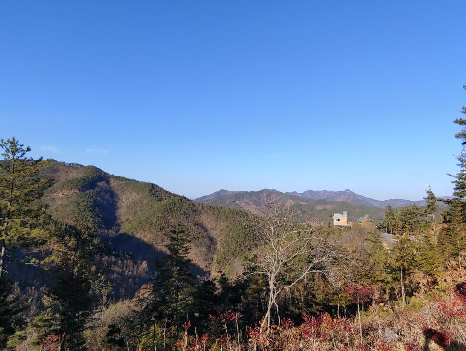 무주향로산자연휴양림