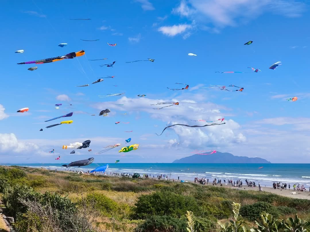 뉴질랜드 3월 여행시 꼭 가봐야 할 Ōtaki Kite Festival