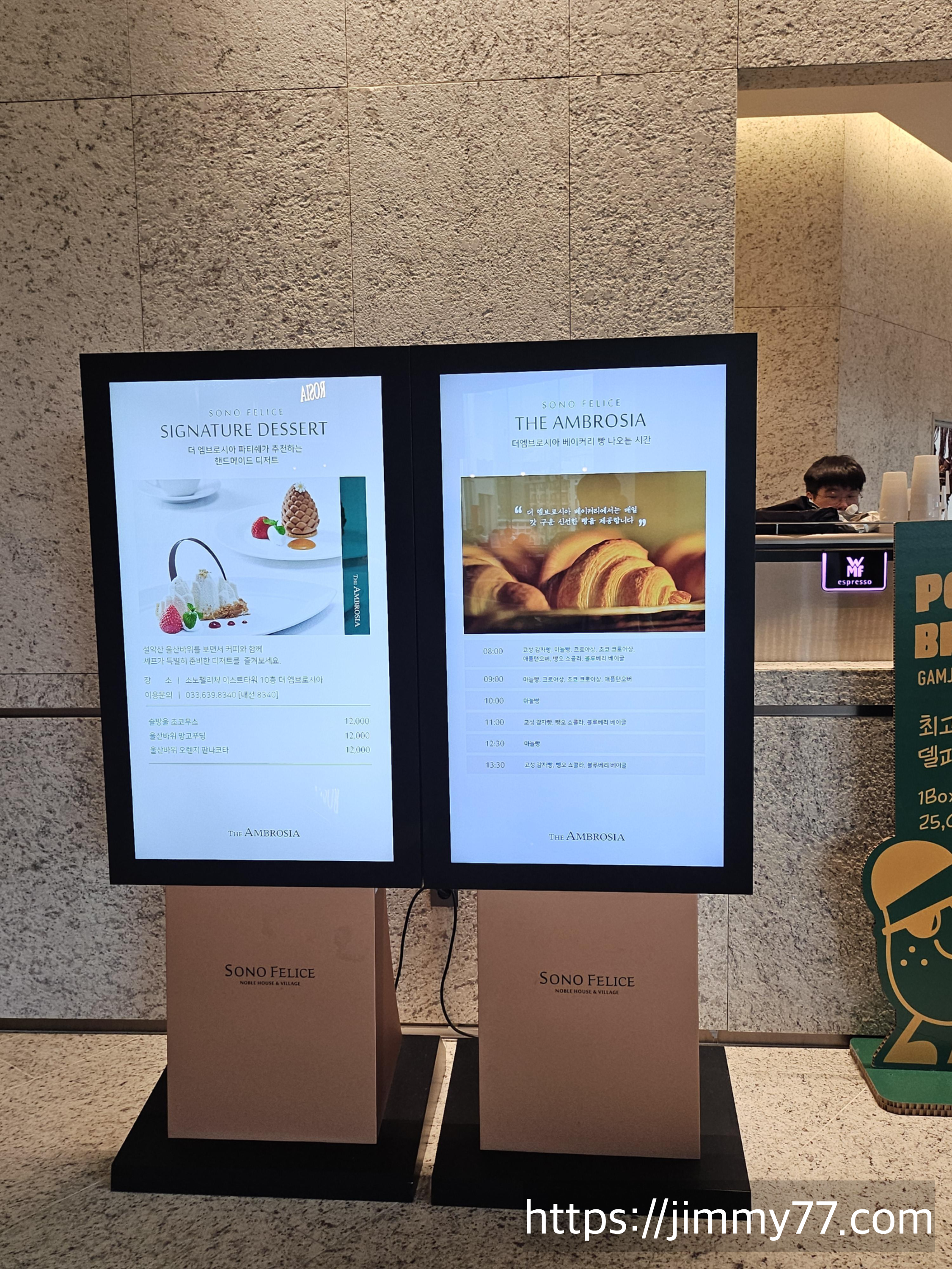 속초 델피노 소노펠리체