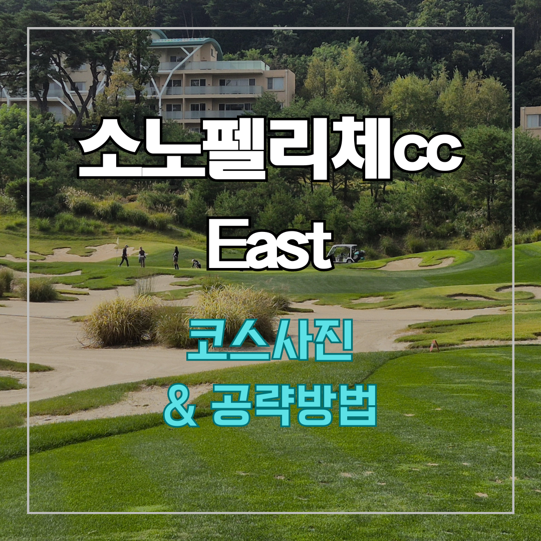 소노펠리체cc이스트