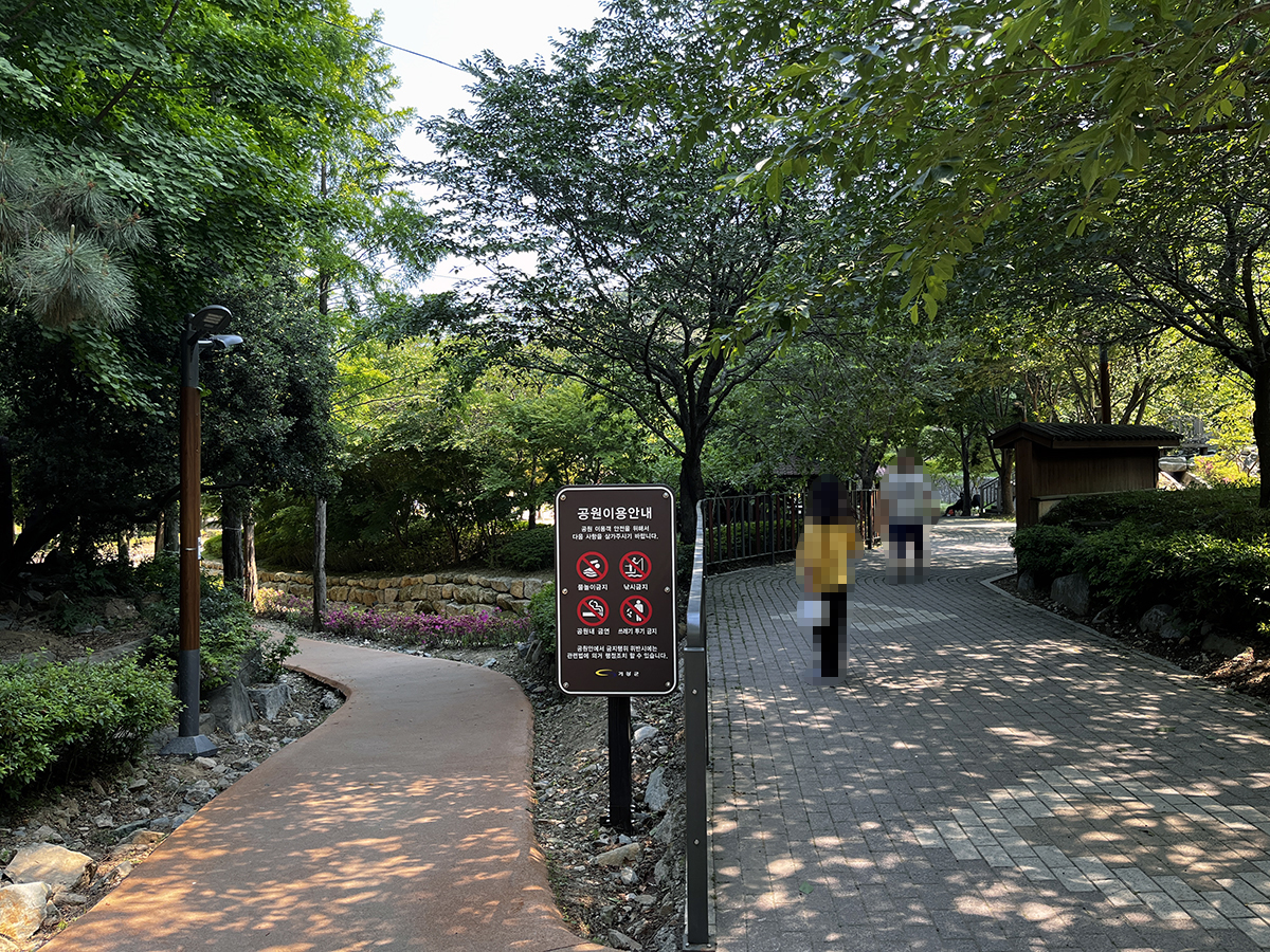 첫 번째 갈림길.