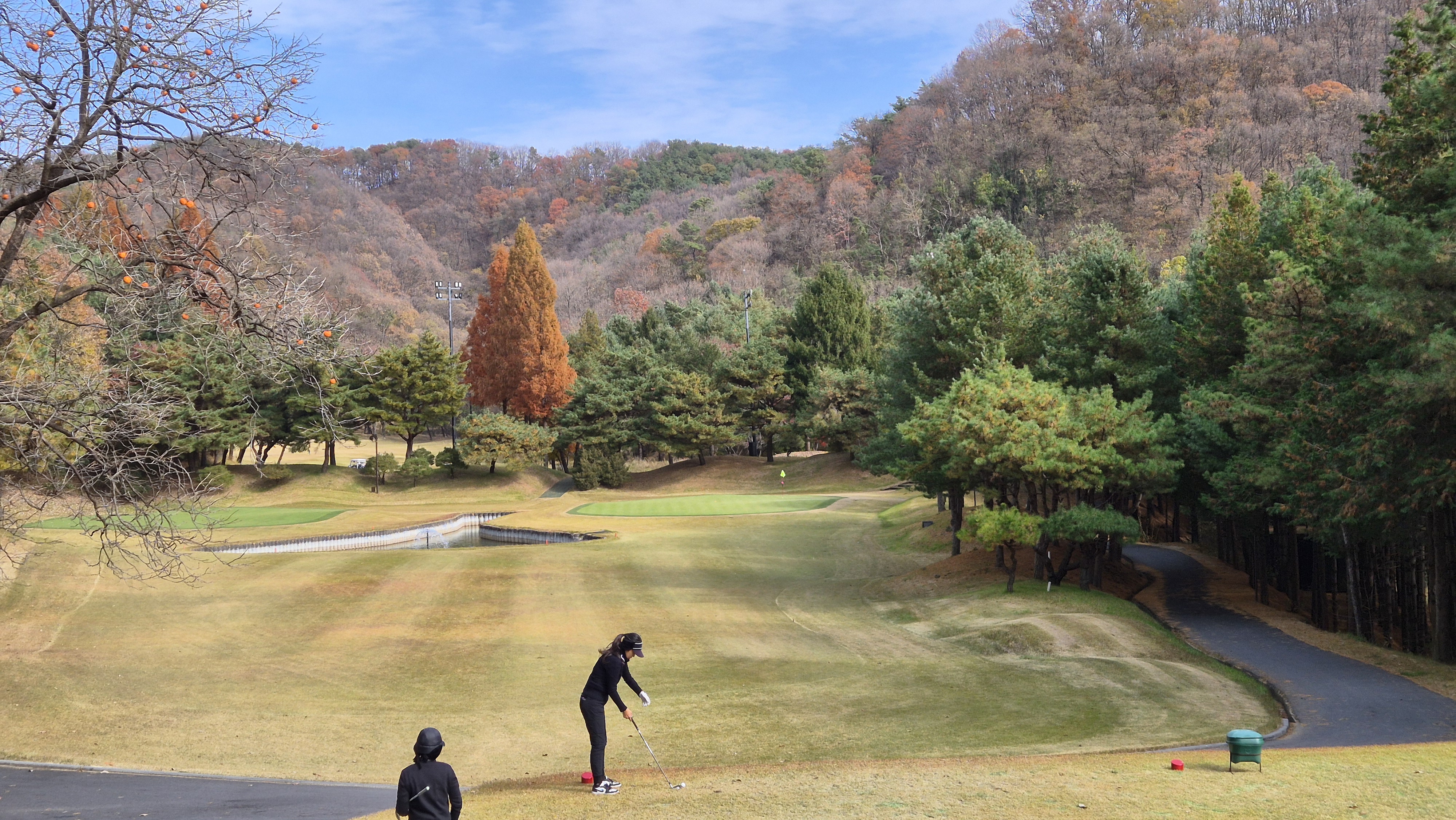 세종에머슨cc 마운틴코스 사진 및 공략 정보