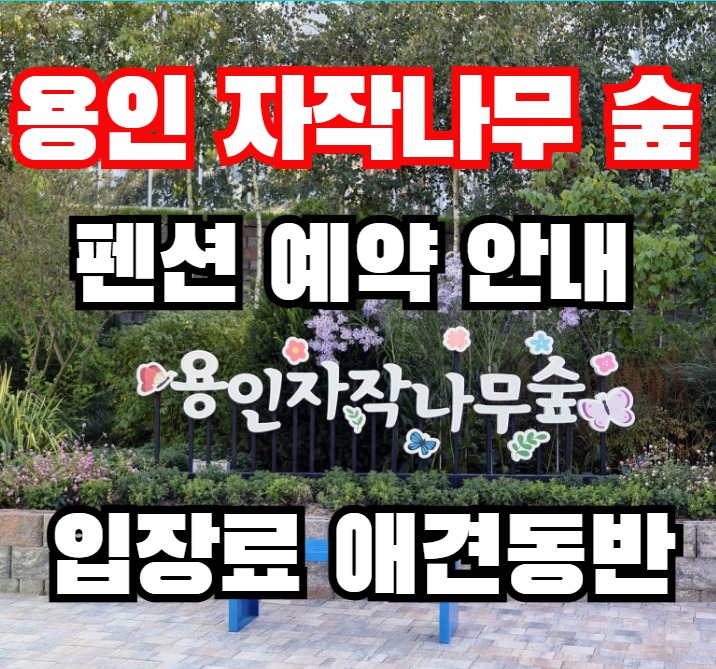 용인 자작나무숲 - 애견동반 입장료 펜션 예약