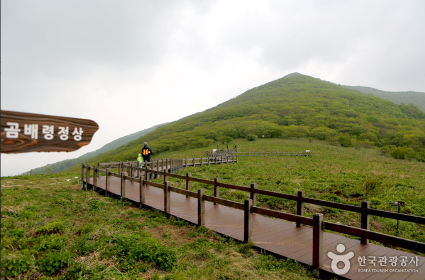 점봉산 곰배령 탐방예약