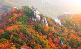 강원도-한-달-살기-7