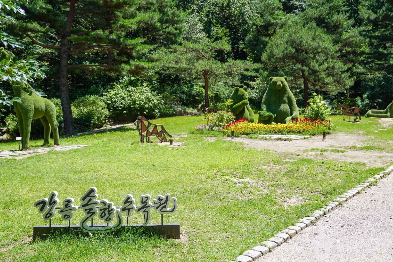 솔향수목원
