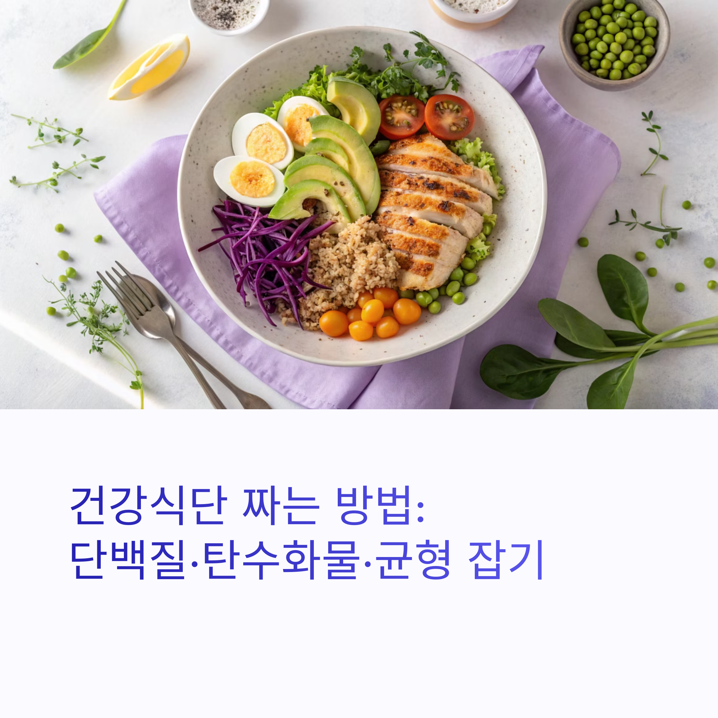 건강식단 짜는 방법 (단백질, 탄수화물, 균형)