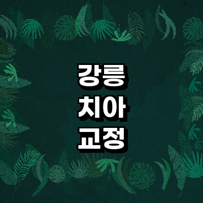 강릉시 교정 치과