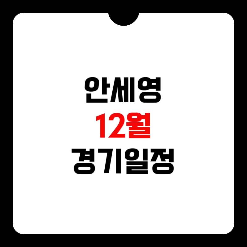 안세영-경기-일정-12월-썸네일