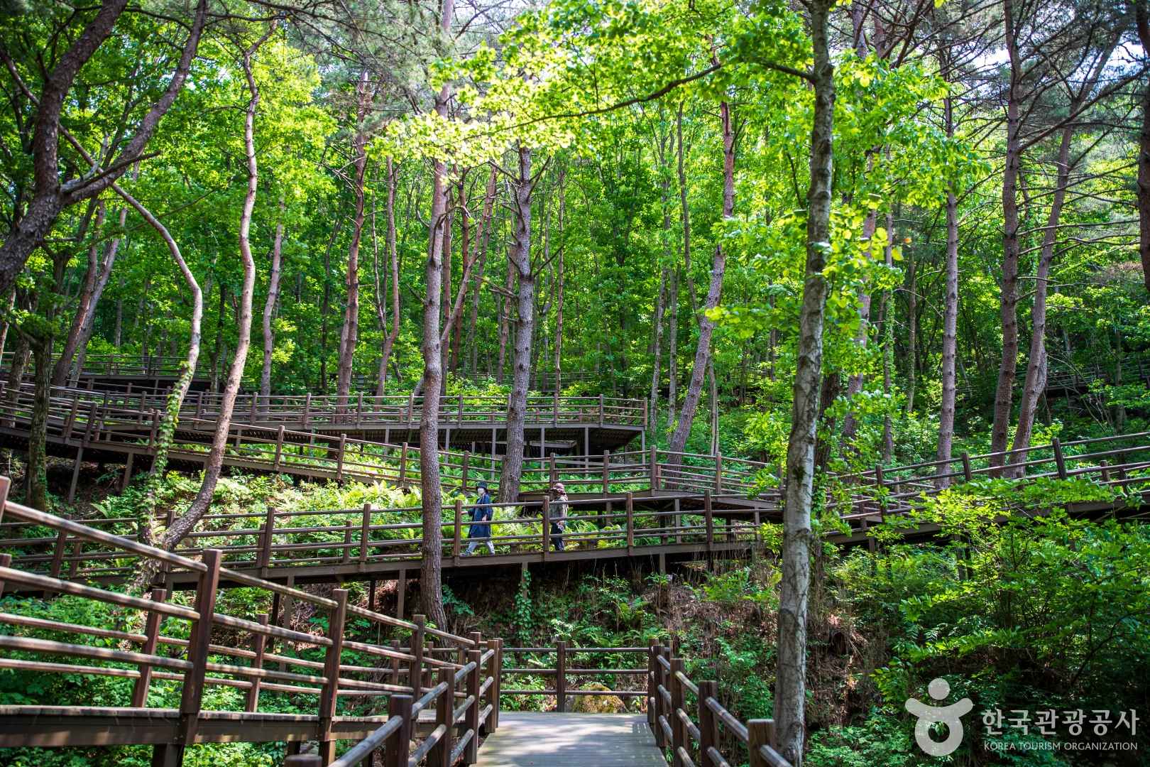 거창 항노화힐링랜드