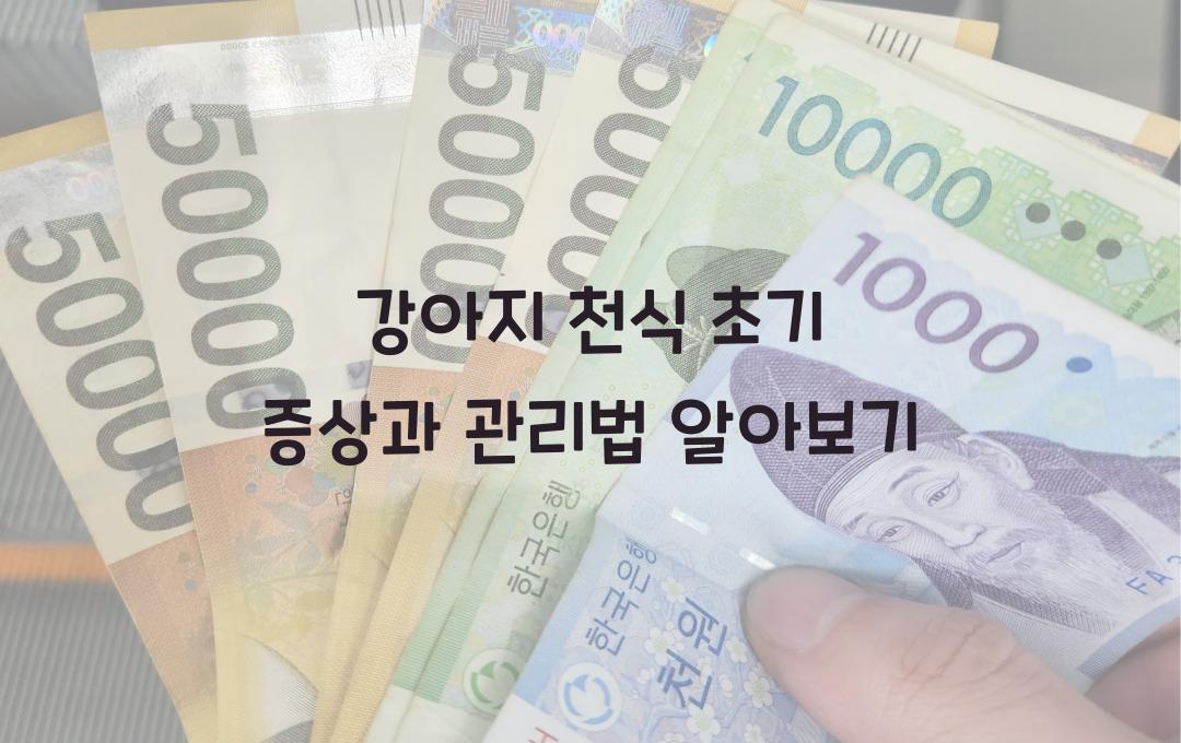 강아지 천식 초기 증상과 관리법