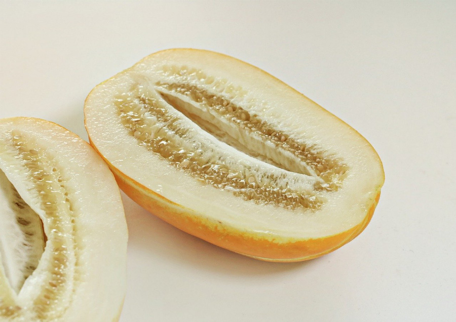 야생에서 채취를 한 참외를 반으로 자른 것을 하얀 바닥 위에 나란히 놓아두고 찍은 사진