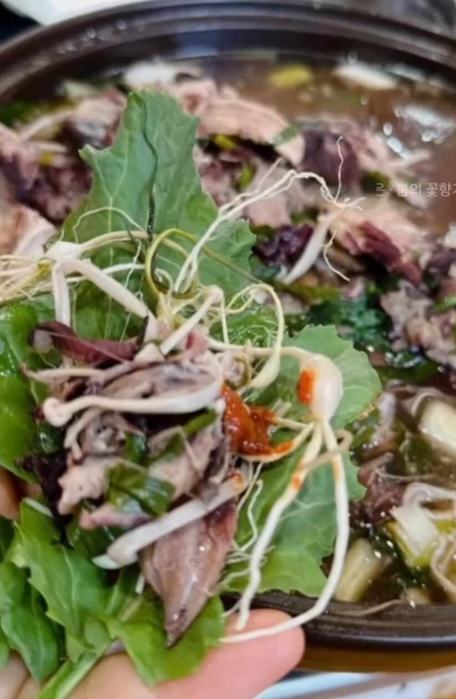 동네한바퀴-봉화-두부밥상