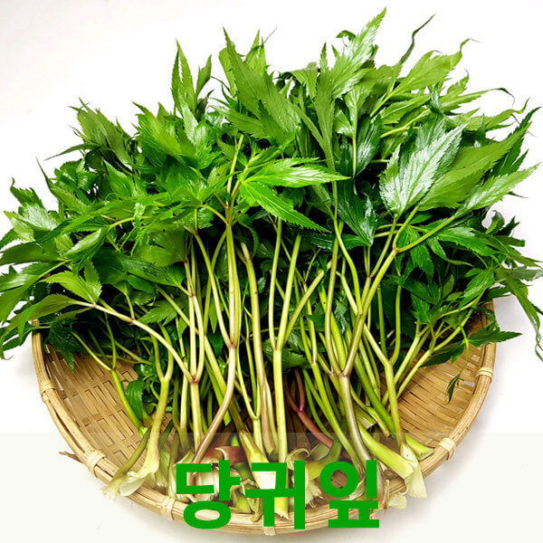 당귀 효능