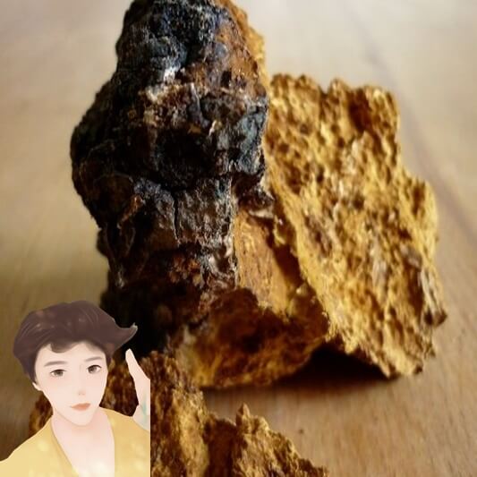 차가버섯-부작용-주의사항