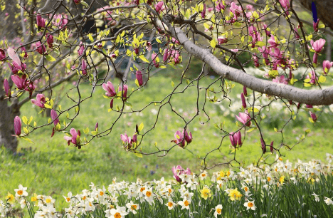 4월 축제 하는곳