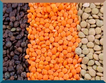 렌틸콩 밥하는 초간단 조리법과 건강 정보_3