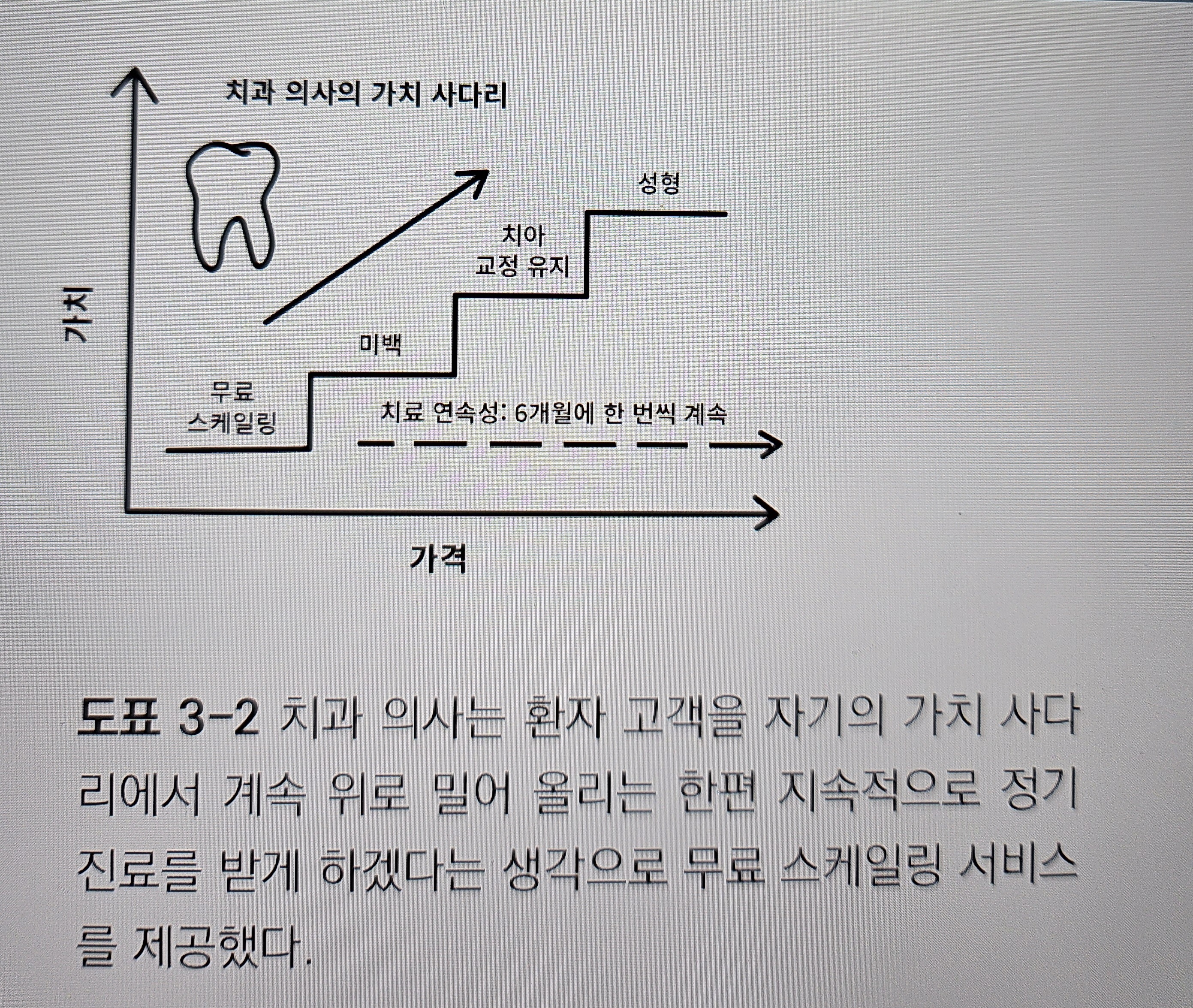 치과 의사의 가치 사다리