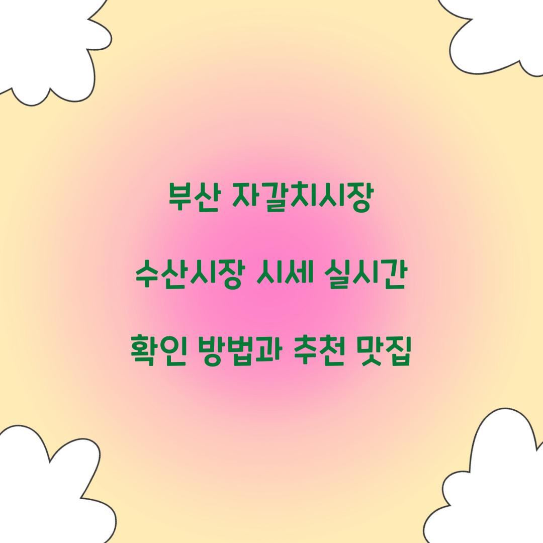 부산 자갈치시장 수산시장 시세 실시간 확인