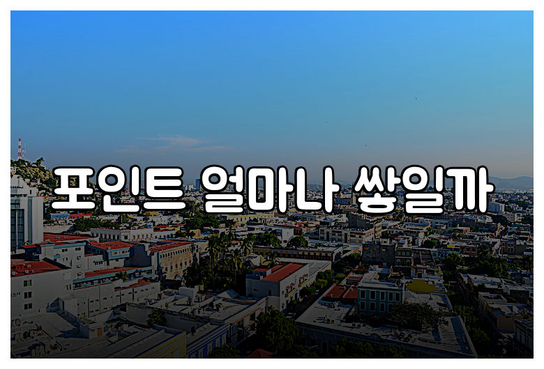 포인트 얼마나 쌓일까