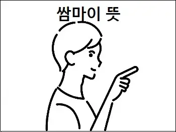 쌈마이 뜻